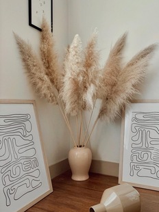 Puxi сушеный цветок украшение дома тростник Звездное небо DIY Nordic Reed сушеный цветок Кофейня ткань выставка