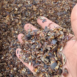 ��Ԫ�� ���M�x���؛ֱ�I���l���]���l���l��Ȼ