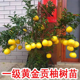 ������伃���S��ؕ�ֹ�������ϱ����NֲͥԺ�����͏d���Թ���