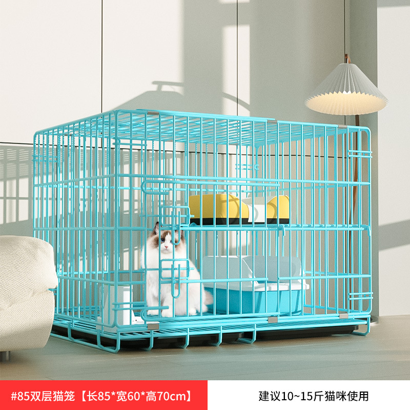 850 더블 블루