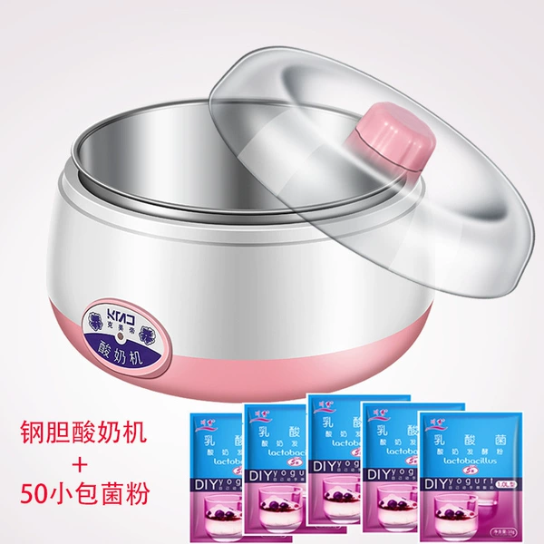 ◇Steel gall yogurt machine + 50 packets of bacteria powder