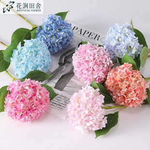 �����L֦���½��� ���W�Ҿӿ͏d�Ƶ�ܛ�b�c�����������滨