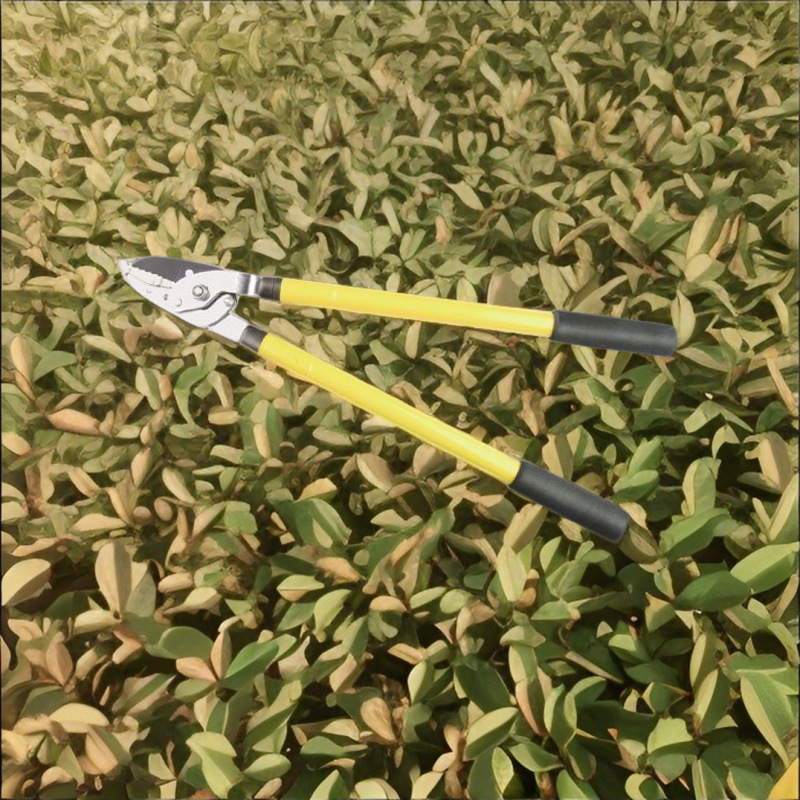 厂家直销供应高质量高枝剪树枝剪粗枝剪园林剪大力剪