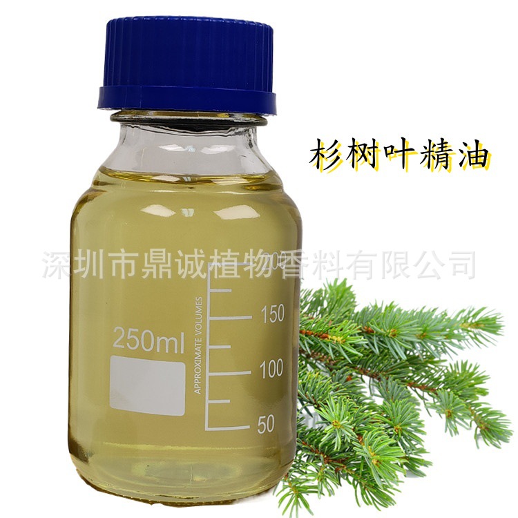 【枝叶精油】杉树叶精油冷杉树叶精油可用于化妆品洗涤用品制备