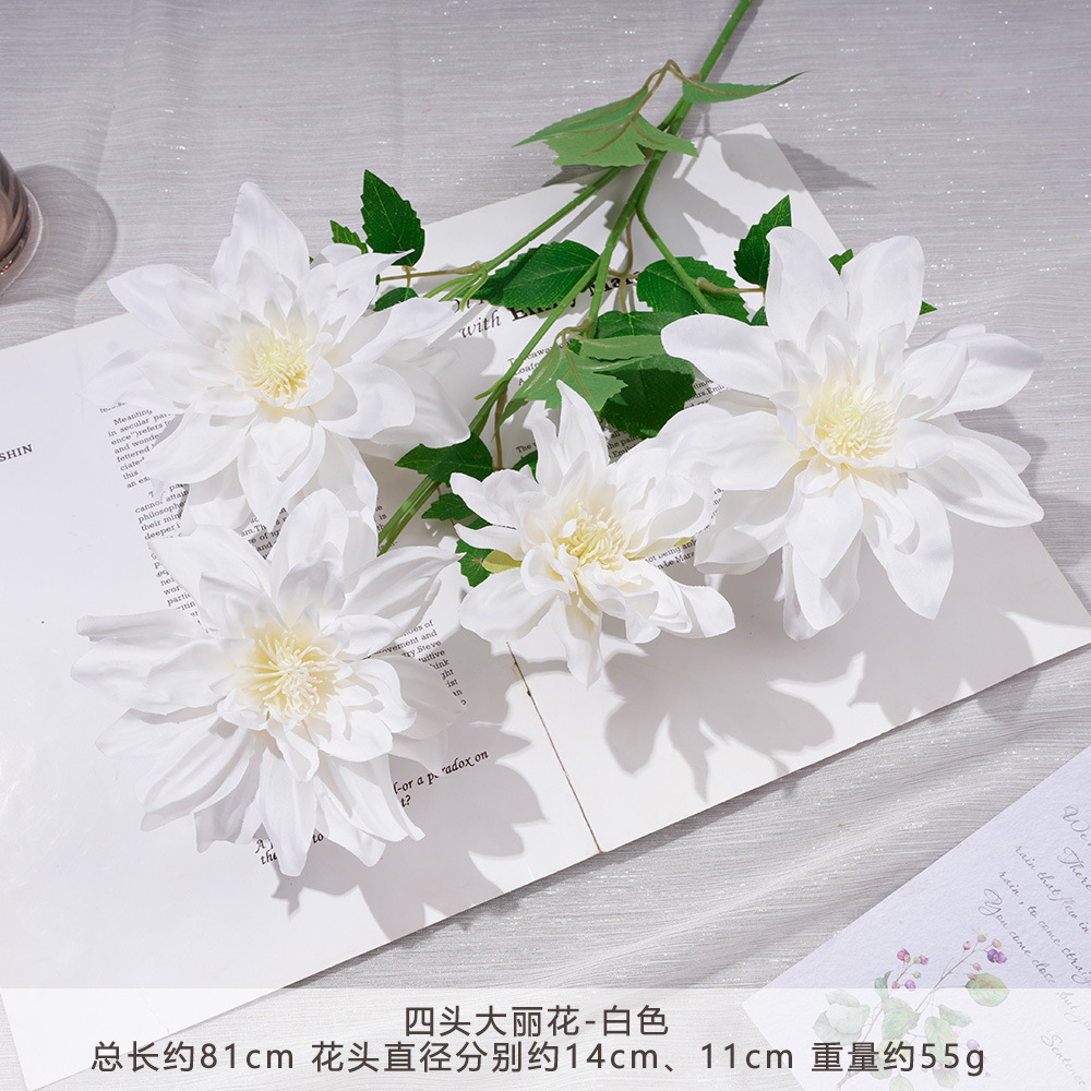 WP - ดอกดาห์เลียสี่หัว - สีขาว