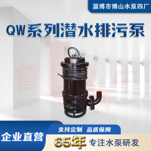 200QW300-10-18.5�͝�ˮ��������ˮ������ʽ���۱ò�ɽˮ�ÏS��