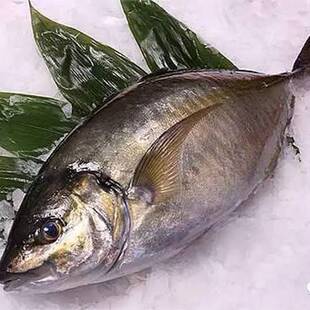 �����v�~���~��������~�ձ��������~