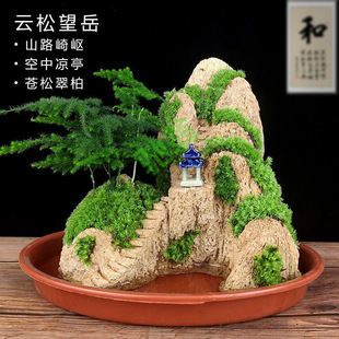 yut�B�ðl؛��ˮ��ɽʯ�辰�쾰������Ȼԭֲ����ˮ��ʯ�^С�Gֲ