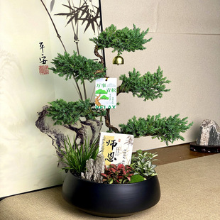 ����������Խ̎������ɾGֲ���w�¾��_�I�Y���ɘ��辰�҃�ֲ����