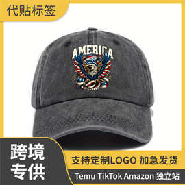 跨境亚马逊爆款棒球帽男美国250周年印花美式复古风格时尚弯檐帽