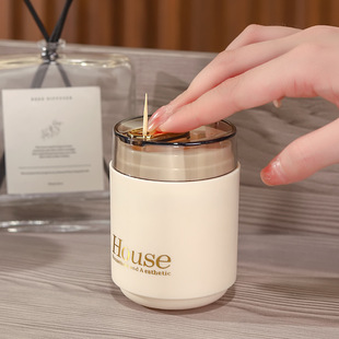 Automatic Pop-Up Toothpick Box Household Personalized Creative Commercial Push-Type Toothpick Storage Tank Light Luxury Toothpick Tube