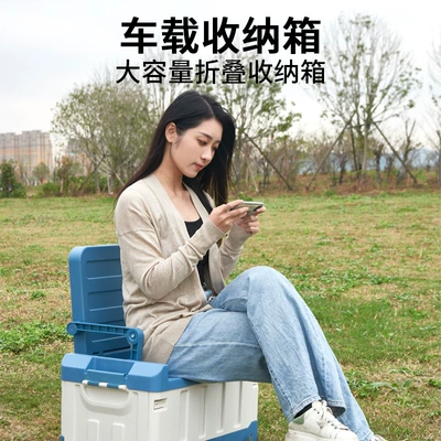 Storage Box, Car storage bag/box