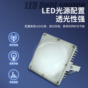 NFC9192 ZY fixed lighting LED platform lamp NFC9192 three-proof lamp workshop three-proof lamp