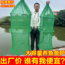 鱼网鱼护折叠加厚圆形吊笼网箱家用多功能网兜速干钓鱼养鱼虾螃蟹