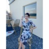 Printed mesh medium length two-piece set 0320