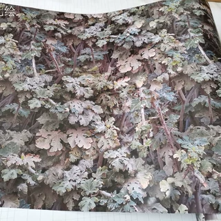 仿生树叶伪装迷彩贴纸个性墙纸膜卡通彩绘涂鸦摩托车贴车身改色膜
