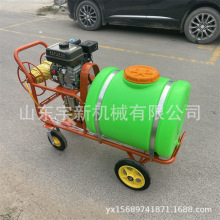 电动手推打药机高压农用喷雾器 汽油机动力打药车