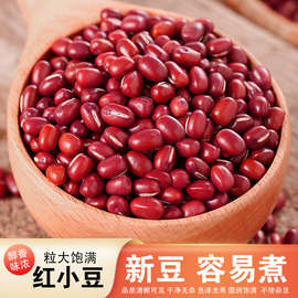 沂蒙山区大粒红小豆红豆农家自产粗粮赤小豆红豆汤新货珍珠粒红豆