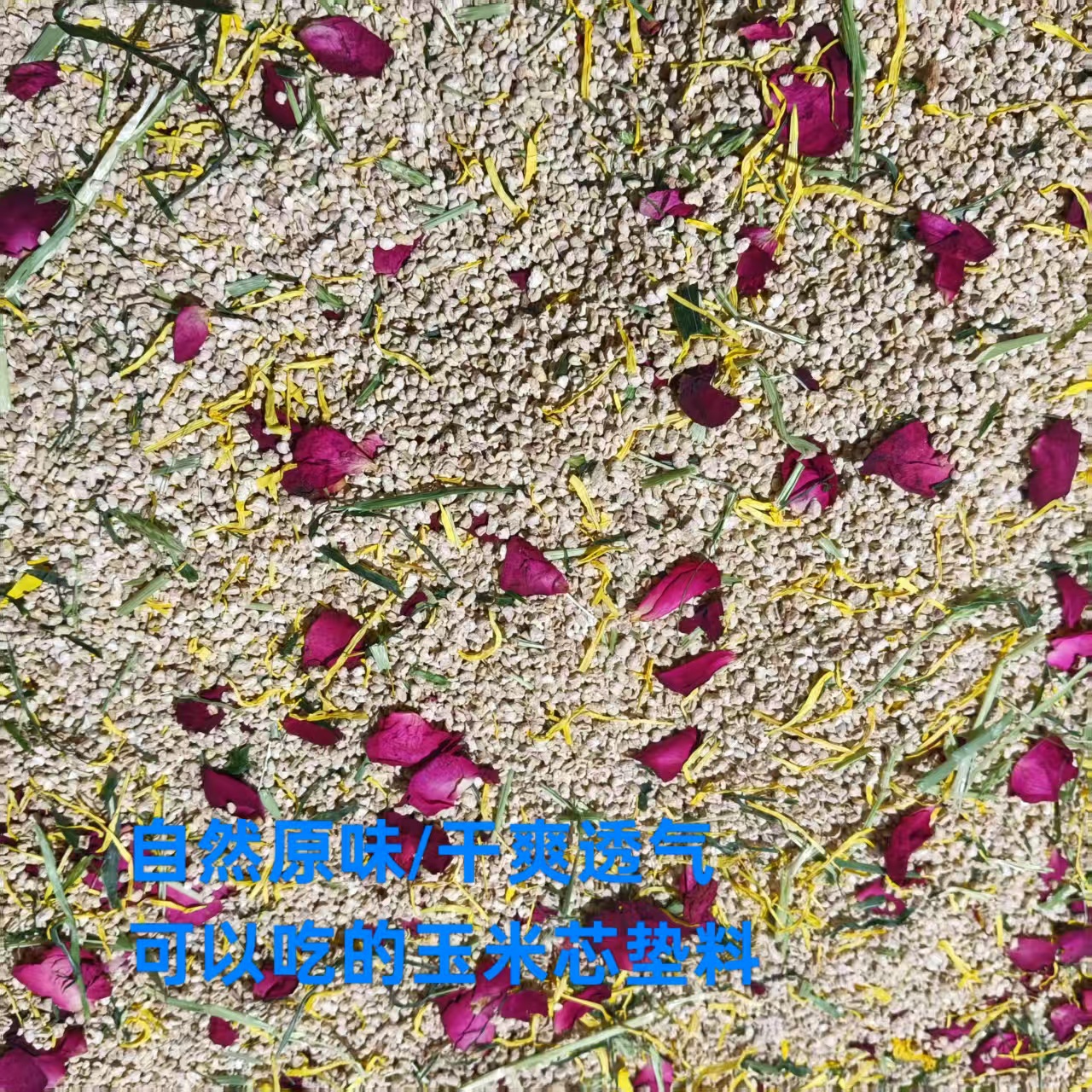 微信图片_20250322163400