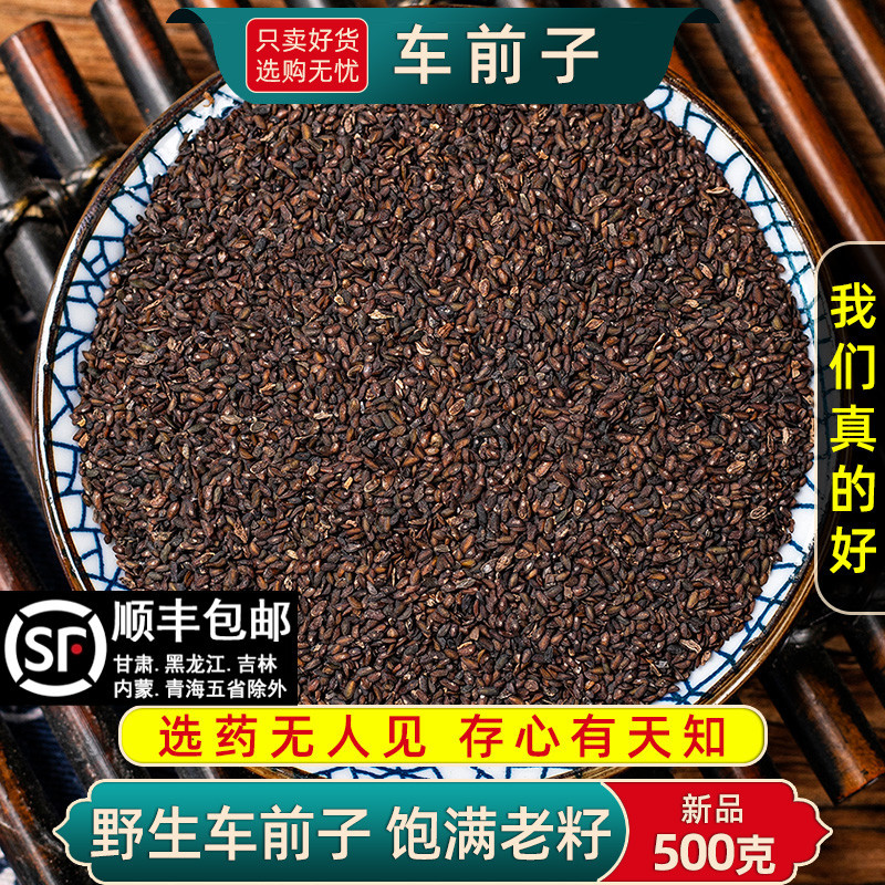 野生车前子货中药材特级500g车前子籽 车前草籽 洋车前子籽