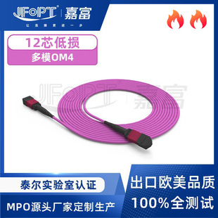Mpo Jumper Multi-Mode Optical Module High-Speed Transmission Support Capability Om4 Low-Loss 12-Core Optical Transmission Optimization