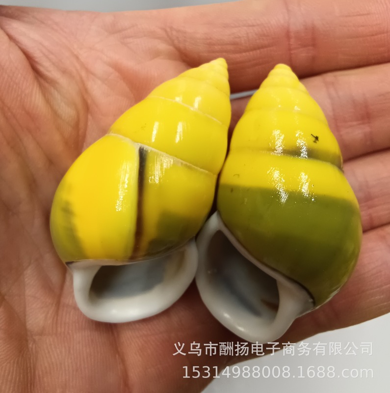 天然貝殻カタツムリ巻貝ヒトデ 4-5 センチメートル右旋巻 DIY 水槽水族館の装飾アクセサリー|undefined