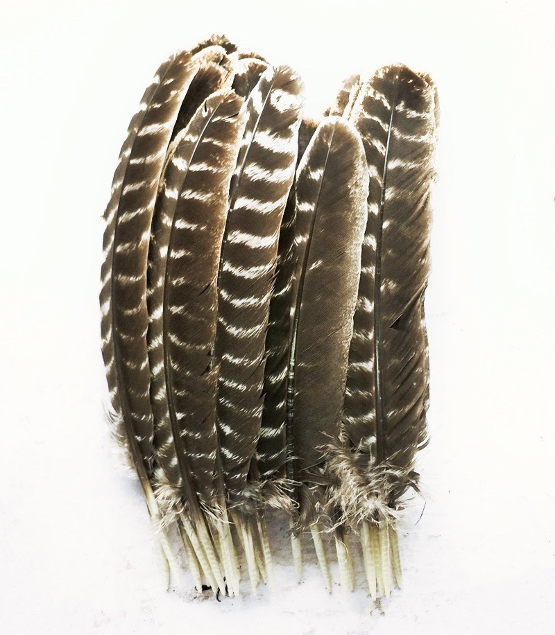 c71d13034a31287e600ec848a9cba4