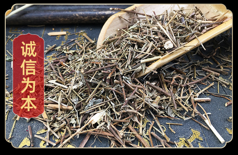 Dried Elsholtzia Herb Xiang Ru Loose Whole Herb Traditional Summer Herbal Tea 500g in use
