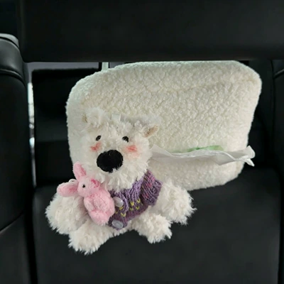 Car tissue box/set: box high aesthetic car
