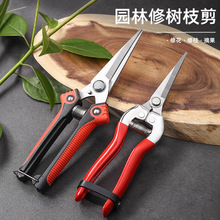 �S�ҬF؛���P���֦����ժ�����߹������Ѽ�ϡ�������������N�^��