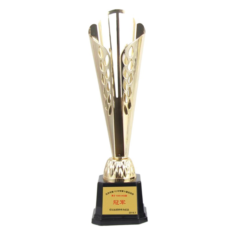 Fábrica de demostración nuevo trofeo hueco universal estudiante Premio DE LA EMPRESA Premio trofeo logotipo personalizado gratis