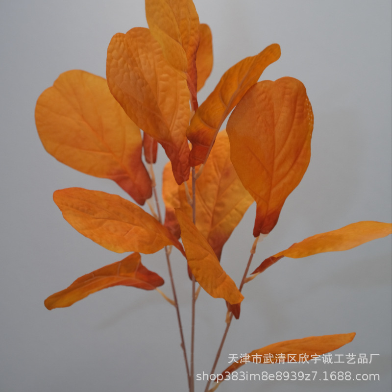 주황색