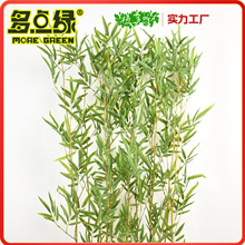 �����҃��b������L���ϼ����ӾƵ�����ë���쾰����ֲ�