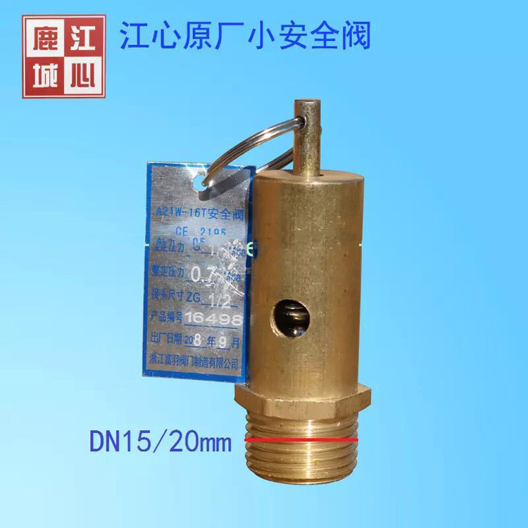 鹿城江心蒸汽发生器锅炉安全阀炉胆安全塞弹簧式高温高压DN15