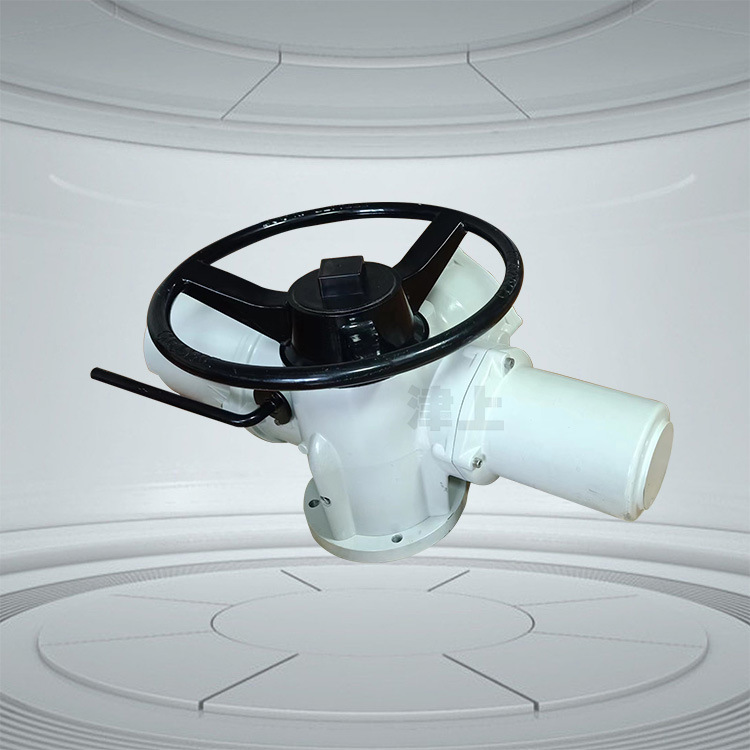 FIQ18 FIQ25 FIQ35 罗托克多回转一体式电动执行机构