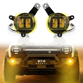 日行灯;尾灯;雾灯