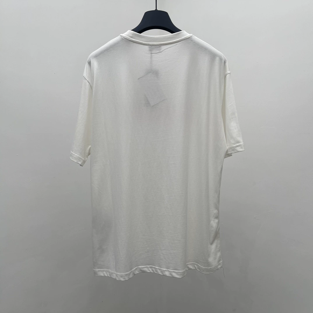 Nangsean High -Packing High Version D Family 24SS New Mark Swall for Yuanneer Short -sleeved T -shirt Loose Edition Men and Women Same