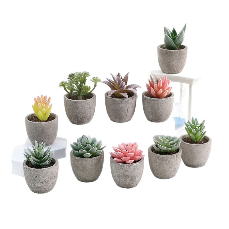 鉢植えのパルプの植毛の多い肉の鉢植えの家庭のデスクトップの事務室の置物をシミュレーションします。|undefined
