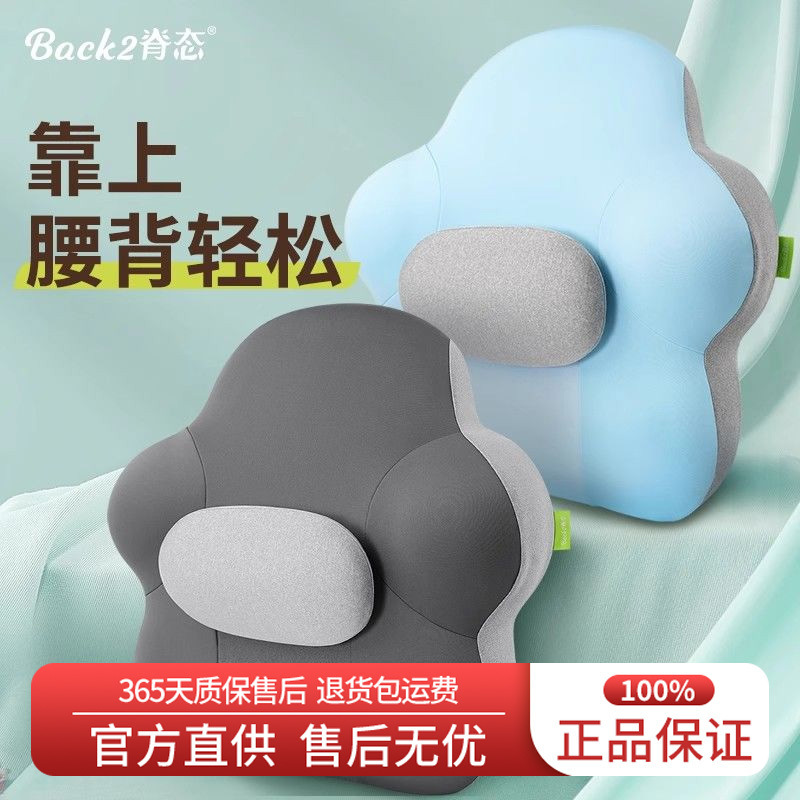 Spine Office Lumbar Support Cushion Seat Back Cushion for Long Sitting at Work, Pregnancy Lumbar Cushion Chair Pillow Lumbar Support