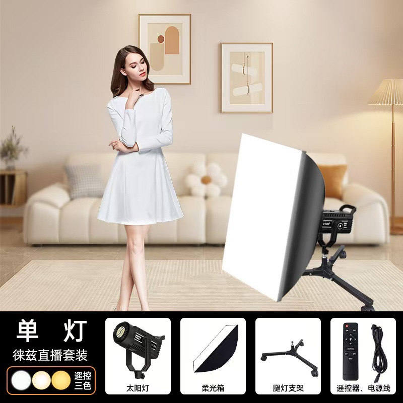 Luz de relleno en vivo ancla especial fotografía luz belleza LED luz solar estudio en vivo siempre brillante luz de iluminación esférica