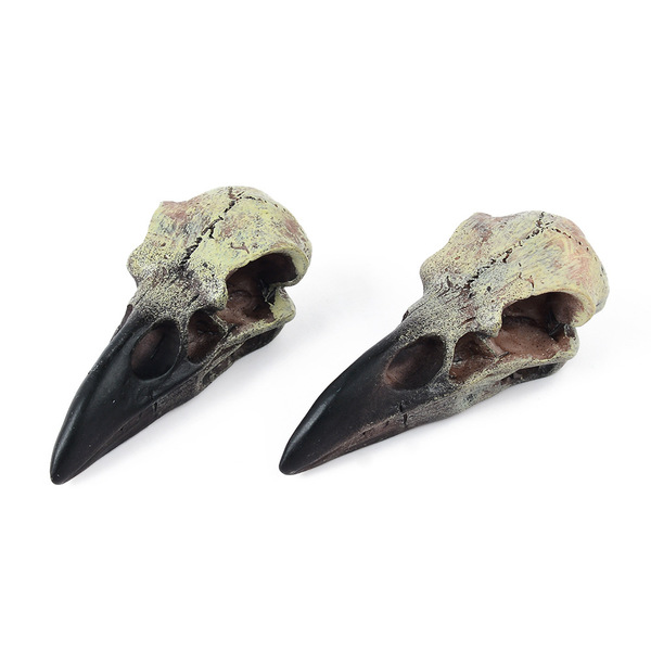 skull