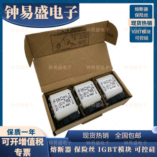 Eaton Bussmann Series High Speed Fuse 170M4461 Basman Fuse 350A 690V