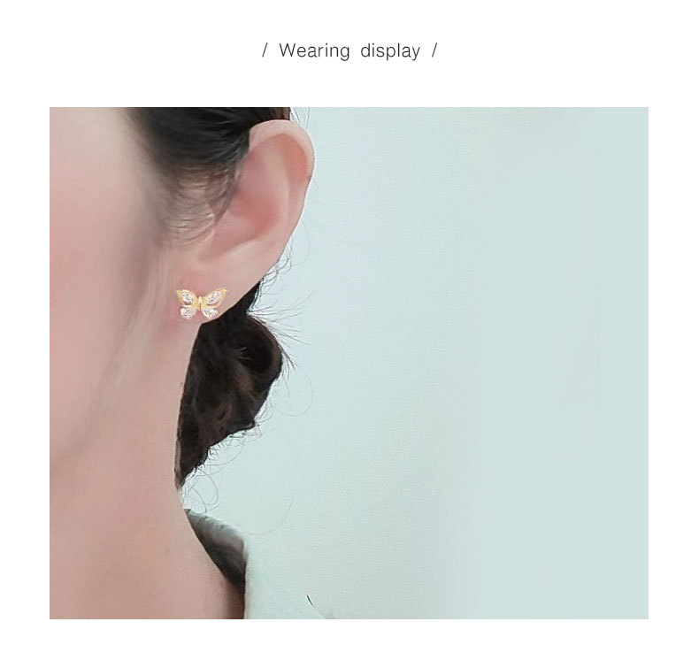 1 Paar 925 Sterling Silber 925 Sterling Silber Ohrringe Schmetterling Kleine Ohrstecker display picture 2