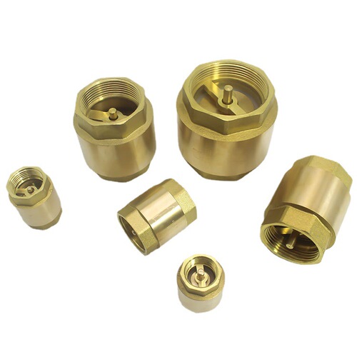 Brass vertical check valve thickened tap water pipe check valve one-way valve spring-type valve 4 minutes 6 minutes 1 inch