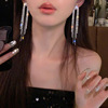 Long fashionable earrings with tassels, diamond encrusted, light luxury style, wholesale