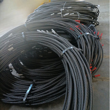 �ȏ��ݼy�ʽ��֬�^�U���ٗU�w���NҎ��V���^��