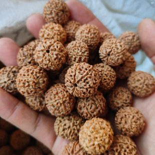 ��ؼtӡ�����������ִ���Ů������ɢ����w�߰�����������