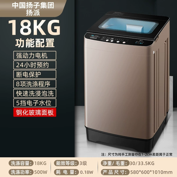 18kg ordinary model