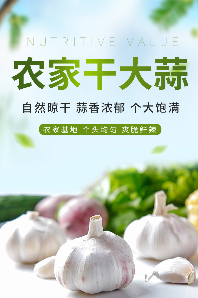干大蒜_01.jpg