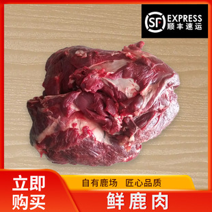 �r¹�� �����p�¹�����r¹����S���\¹�Ź�¹�Ｙ���r¹�����l